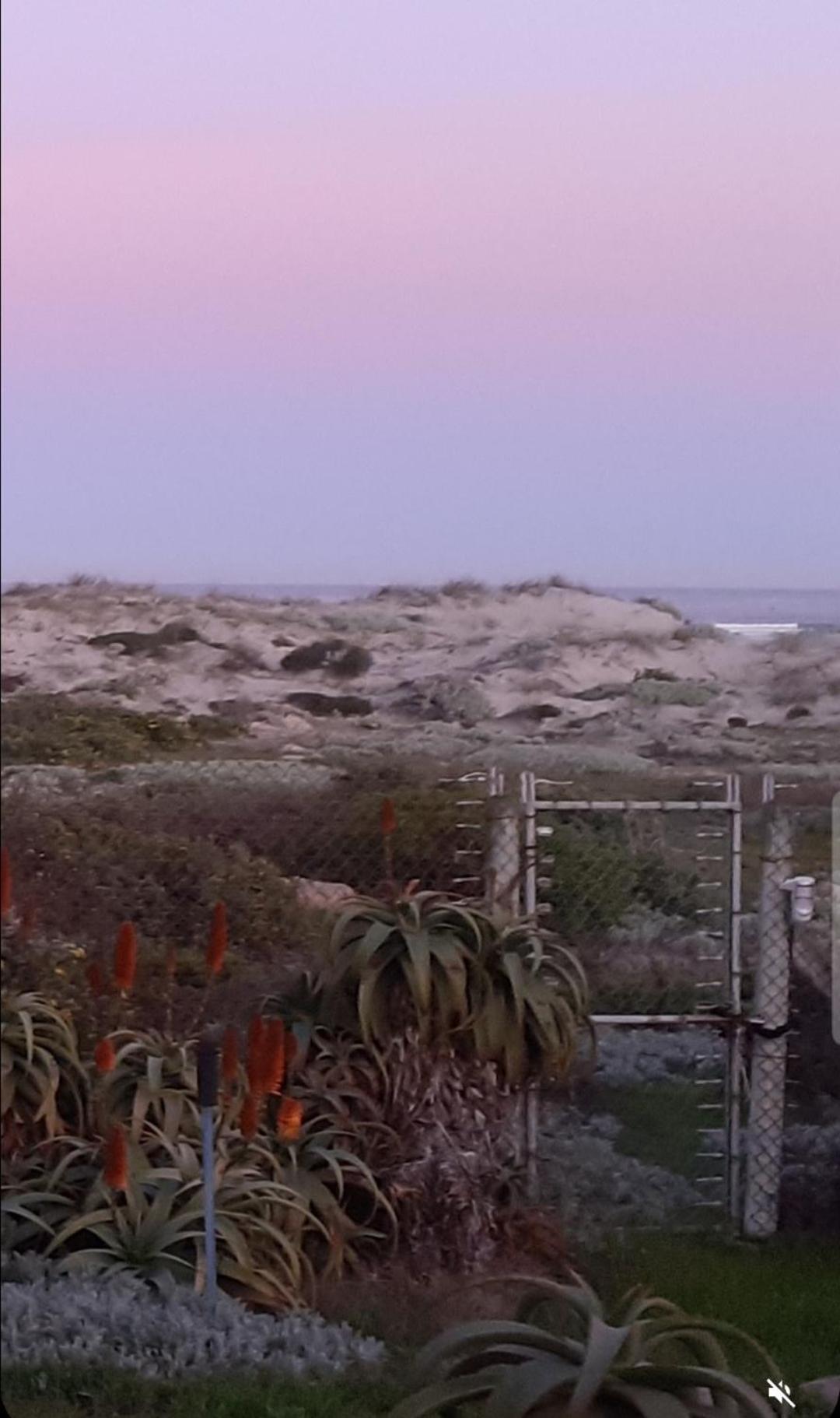 Beachmusic Cape Town Eksteriør bilde